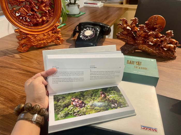  “Báu vật – Treasure” là món quà tinh thần, là lời mời gọi mỗi người dừng lại, ngắm nhìn và lắng nghe nhịp thở của rừng xanh, biển biếc 