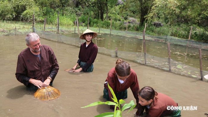 Bên cạnh đó, hoạt động úp nơm bắt cá cũng mang lại trải nghiệm mới mẻ khi du khách tự tay cầm nơm, lội ruộng, hòa mình vào thiên nhiên, tận hưởng niềm vui giản dị nhưng chân thật. Không ít người phấn khích khi thành công bắt được cá rô, cá trê trong bùn.