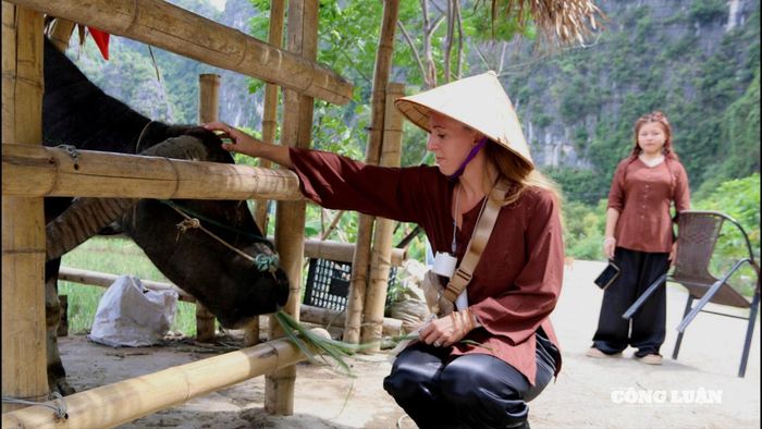 Sức hút từ các hoạt động dân dã này cho thấy du lịch nông thôn Ninh Bình đang phát triển bền vững, không chỉ làm đa dạng sản phẩm du lịch mà còn tạo nguồn thu nhập mới cho người dân địa phương.
