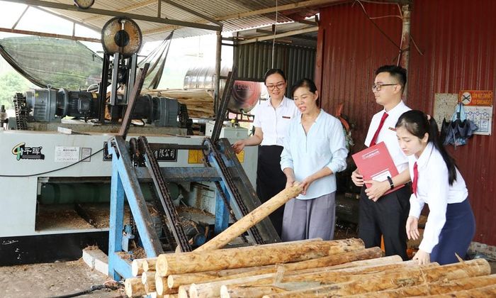 Chị Nguyễn Thị Nguyên, thôn Tân Mộc, xã Lục Sơn (thứ 2 từ trái sang) đang giới thiệu về công đoạn bóc gỗ. Ảnh: Báo Bắc Ninh.