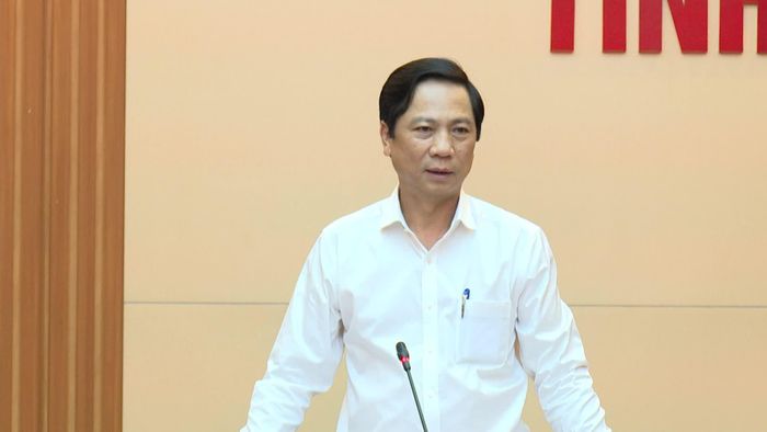 Phó Chủ tịch Thường trực UBND tỉnh Hoàng Nam phát biểu chỉ đạo tại cuộc họp - Ảnh: Mai Linh