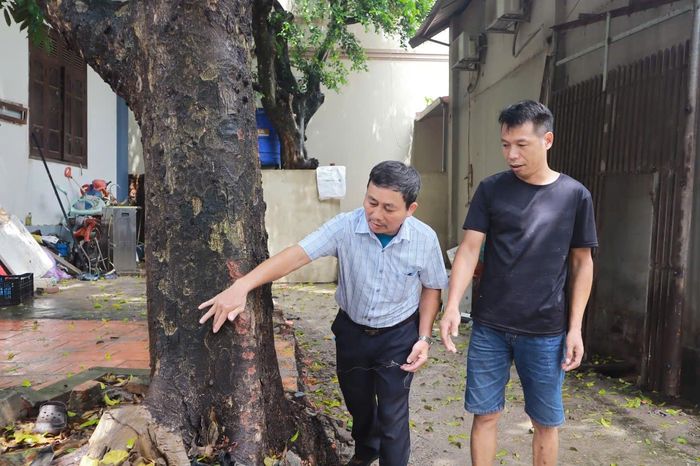 Ông Khuất Hữu Khôi, Bí thư Chi bộ thôn Bướm, xã Phúc Thọ giám sát khu vực hiến đất của nhân dân. Ảnh: Nguyễn Mai