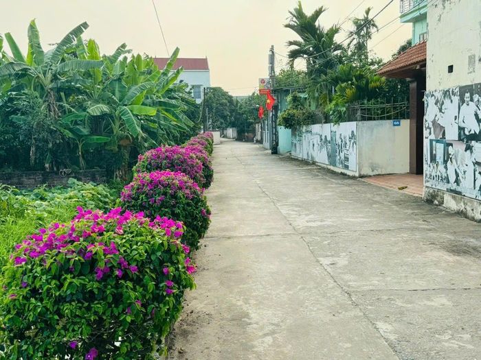 Mô hình “đường hoa kiểu mẫu" ở thôn An Hiền, xã Quảng Bị. Ảnh: Quang Huy