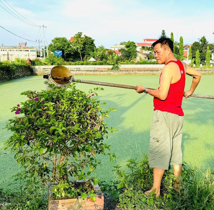 Với mô hình “đường hoa kiểu mẫu", ông Trần Quang Huy gần 8 năm tự nguyện chăm sóc đường hoa, không nhận thù lao. Ảnh: Quang Huy