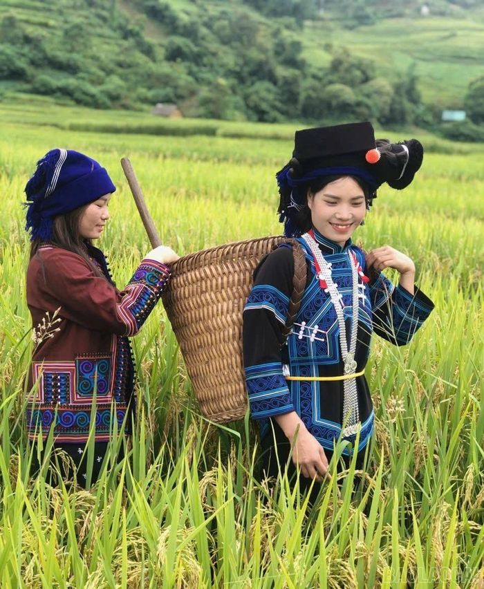  Theo quan niệm của người Hà Nhì, ngày đi lấy lúa mới và ngày gặt lúa đều phải chọn ngày đẹp để đem lại nhiều may mắn. 