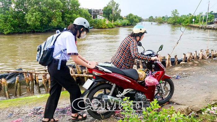 Lưu thông khó khăn tại tuyến lộ kênh Bản Đá, ấp Bình Thành, xã Cái Nước.