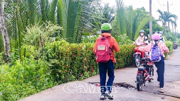 Dù không có biển cảnh báo “tắt máy dẫn bộ”, nhưng các phương tiện vẫn thực hiện như một thói quen.