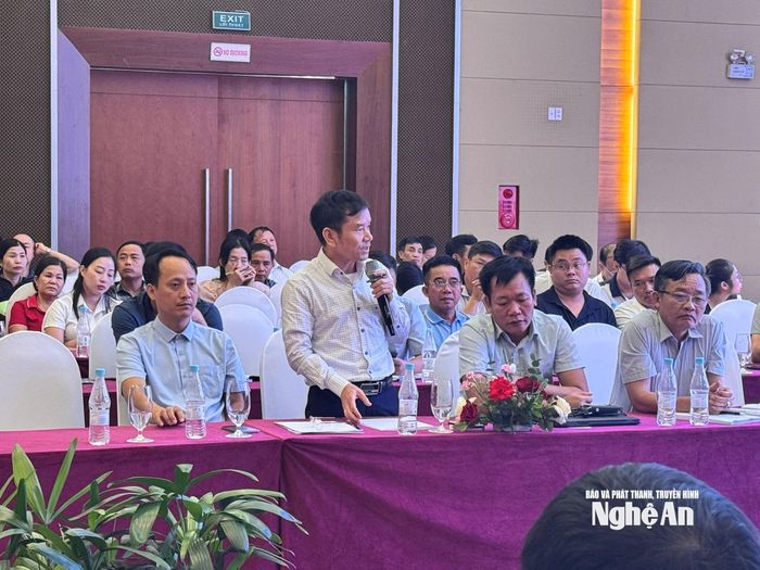 Đại diện Văn phòng Hội đồng đánh giá trữ lượng khoáng sản quốc gia phát biểu giải thích 1 số nội dung liên quan đến phân nhóm, đánh giá các loại khoáng sản để xuất khẩu. Ảnh: Nguyễn Hải
