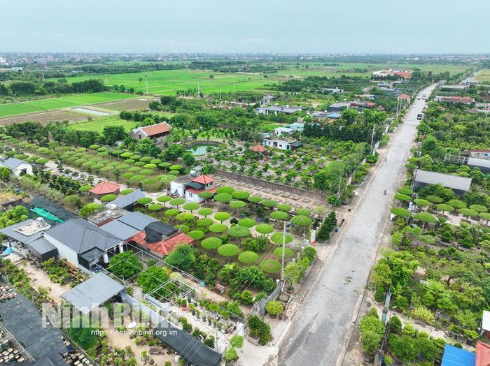 Một góc làng nghề cây cảnh Vị Khê.