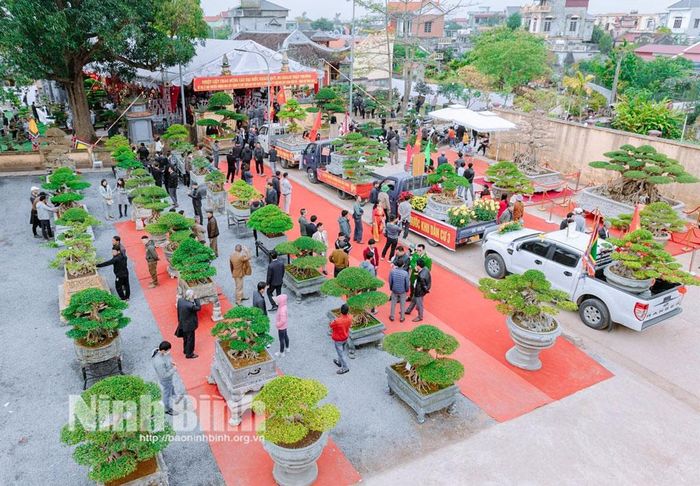 Khuôn viên Lễ hội hoa, cây cảnh Vỵ Khê.