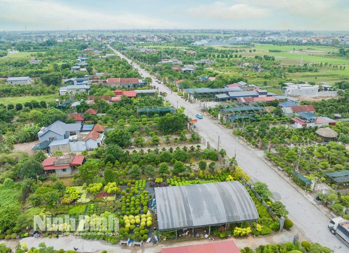 Phường Vị Khê xanh ngát những vườn cây.