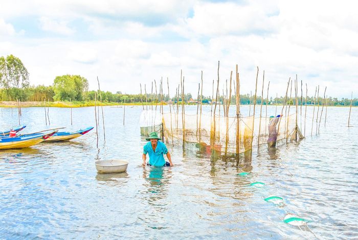 Nước ngập tràn đồng, người dân An Giang đi đặt dớn bắt cá linh non đầu mùa. Đặt dớn cũng phải am hiểu, nhất là kinh nghiệm nhìn dòng nước chảy để bắt nhiều cá hơn.