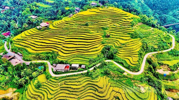 Ruộng bậc thang dưới chân dãy Tây Côn Lĩnh, thuộc thôn Khuổi My, phường Hà Giang 1.