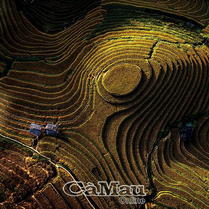 Tiêu điểm.