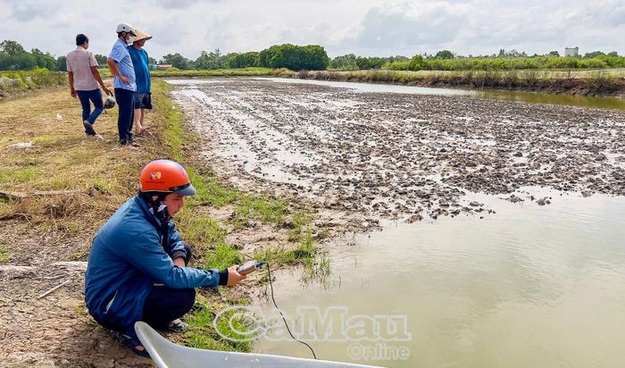 Cán bộ nông nghiệp phường Giá Rai kiểm tra độ mặn nội đồng trước khi nông dân xuống giống.