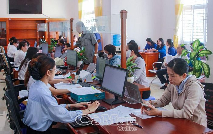 Cà Mau ưu tiên đầu tư thiết bị CNTT cho cấp xã.