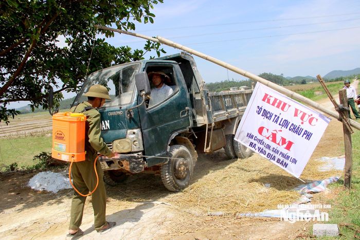 Các địa phương có dịch tả lợn châu Phi phải lập chốt kiểm dịch. Ảnh: Q.A