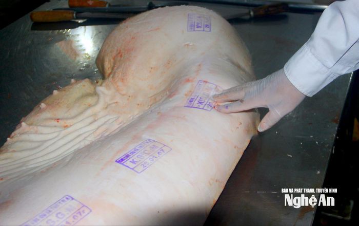 Thịt lợn có dấu kiểm dịch, đảm bảo an toàn mới được phép bán trên thị trường. Ảnh: Q.A