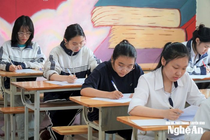 Kỳ thi học sinh giỏi sẽ giúp phát hiện các học sinh có năng khiếu để tạo nguồn bồi dưỡng. Ảnh: Mỹ Hà