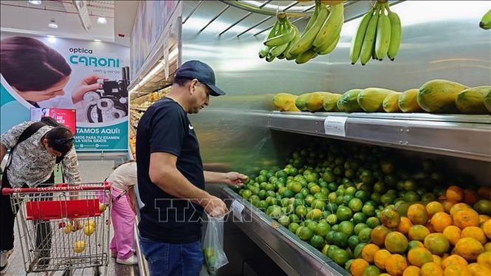 Rau củ quả do Venezuela sản xuất được bày bán tại siêu thị Gama Plus, trung tâm thủ đô Caracas. Ảnh: Phi Hùng/PV TTXVN tại Mỹ Latinh