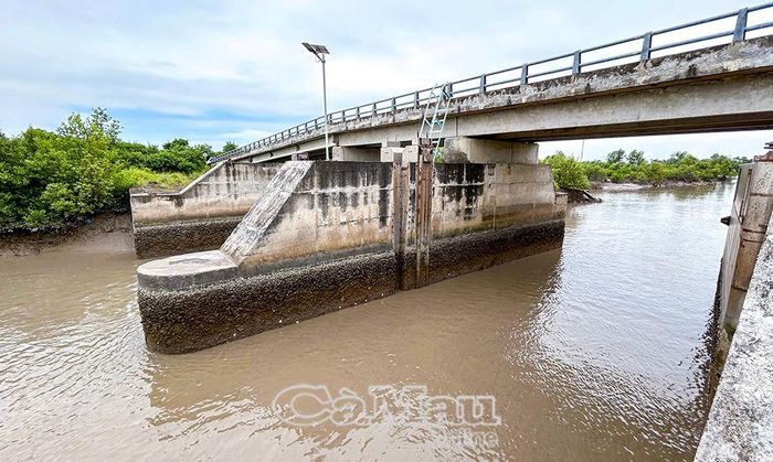 Chủ tịch UBND tỉnh chỉ đạo Sở Nông nghiệp và Môi trường chỉ đạo các đơn vị trực thuộc phối hợp với chính quyền địa phương vận hành hợp lý, hiệu quả hệ thống cống, đập, trạm bơm để bảo vệ sản xuất.