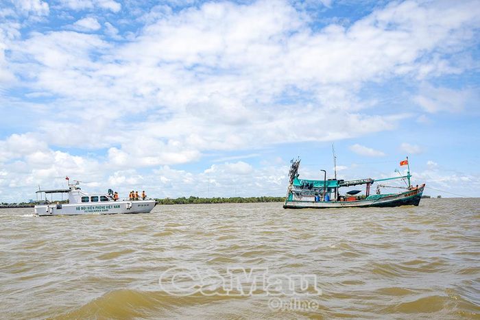 Công tác tuần tra, kiểm soát tuyến biển và khu vực biên giới được các đơn vị BĐBP Cà Mau triển khai thường xuyên, liên tục, cả ngày lẫn đêm.