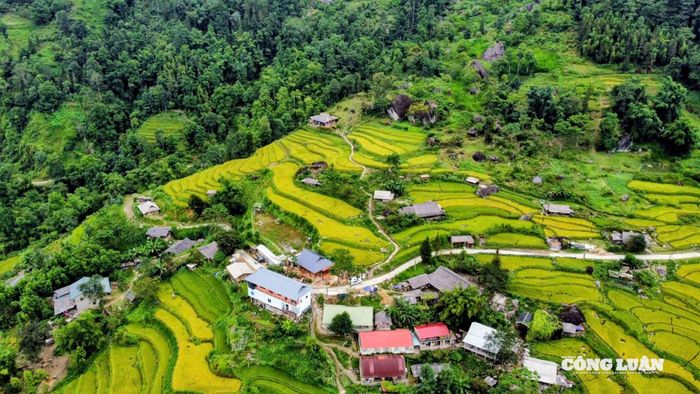 Không chỉ sở hữu cảnh sắc thiên nhiên tuyệt đẹp, Hoàng Su Phì còn là miền đất đậm đà bản sắc. Chợ phiên rực rỡ màu áo thổ cẩm, những điệu múa, lời hát dân gian, tiếng khèn, tiếng trống… hòa cùng mùa gặt, làm nên không gian vừa rộn rã vừa nồng ấm tình người.