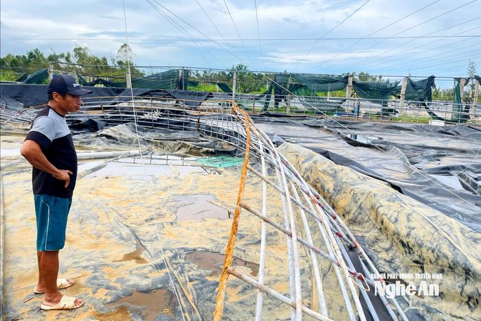 Đầm tôm của gia đình ông Nguyễn Viết Thắng bị hư hỏng, chưa thể thả vụ mới. Ảnh: Q.A