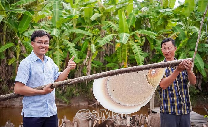Anh Khanh (bìa phải) hướng dẫn du khách lấy mật ong.