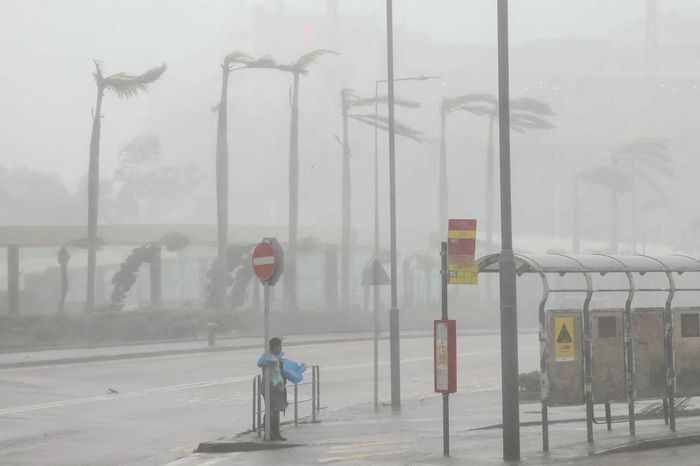 Sức gió mạnh của siêu bão Ragasa ở Hồng Kông, Trung Quốc. Ảnh: Reuters.