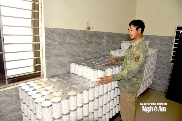 Mỗi năm, HTX NNX Đại Huệ tiêu thụ giúp người dân địa phương khoảng 200 tấn nguyên liệu, sản xuất ra hơn 25 tấn tinh bột sắn dây đạt chuẩn OCOP. Ảnh: Hoài Thu