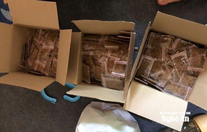 Thu giữ 2kg ma túy dạng cỏ Tobaco. Ảnh: Hồ Hưng