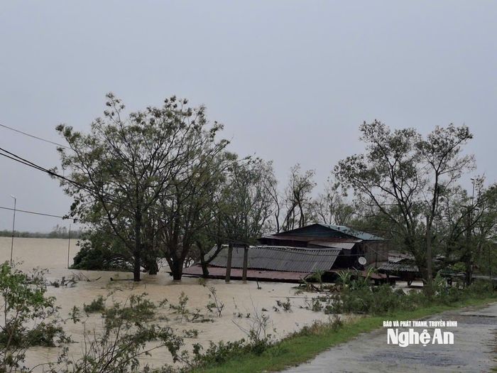 Ghi nhận của phóng viên Báo và phát thanh, truyền hình Nghệ An sáng 29/9 cho thấy, tại xóm Xuân Lam 9, xã Hưng Nguyên Nam, nhiều hộ dân sống sát bờ đê sông Lam đã bị nước lũ dâng ngập đến tận mái nhà. Ảnh: Đình Tuyên