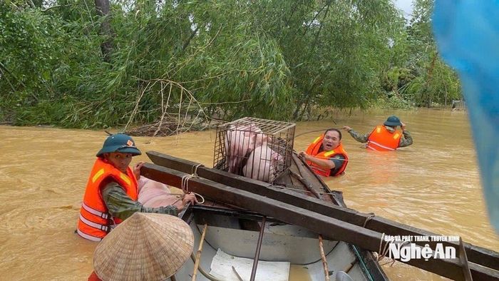 Các lực lượng chức năng xã Thành Bình Thọ giúp dân di dời tài sản vào nơi an toàn. Ảnh: Văn Trường
