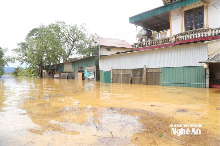 Những ngôi nhà dọc tuyến đường của xã Thanh Xuân cũ ngập sâu trong nước. Ảnh: Xuân Hoàng