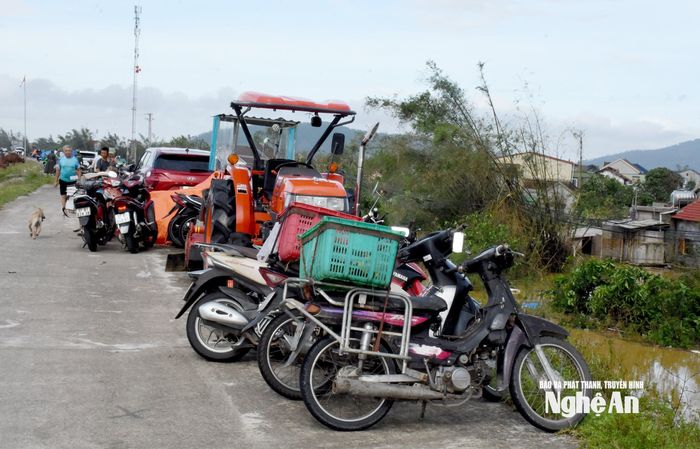 Bà con vùng lũ đã di chuyển xe máy và các loại phương tiện, tài sản lên mặt đê cao để đảm bảo an toàn. Ảnh: Công Kiên