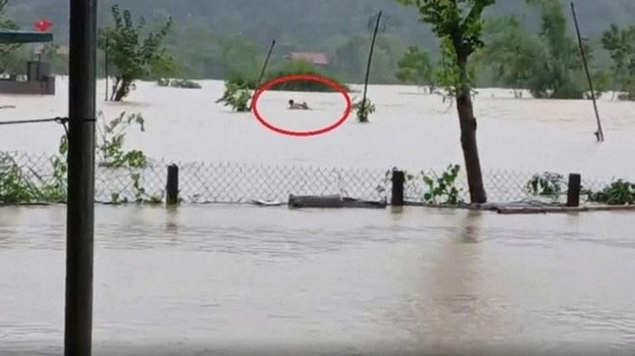 Khoảnh khắc Trung úy Lương Đức Sửu cứu ông Phòng khỏi nguy hiểm được người dân ghi lại