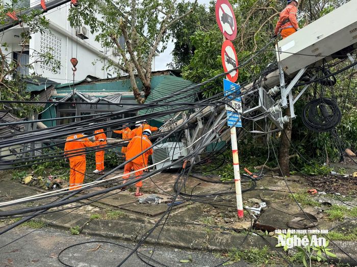 Hệ thống truyền tải điện trên địa bàn tỉnh Nghệ An bị ảnh hưởng nặng sau cơn bão số 10. Hàng trăm cột điện bị gãy đổ, nhiều km đường dây bị đứt và nhiều trạm biến áp bị hư hỏng. Ảnh: Phan Thủy