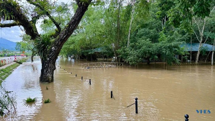 Nước ngập khiến khó có thể phân biệt lối đi và lòng suối.