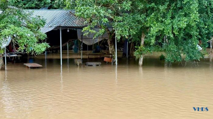 Các khu vực vốn là kiot bán hàng dọc lối vào khu vực thăm quan suối cá đều đã ngập nước.