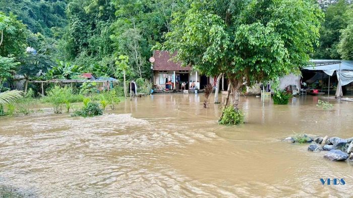 Bên ngoài, khu vực dân cư quanh suối cá cũng ngập sâu.