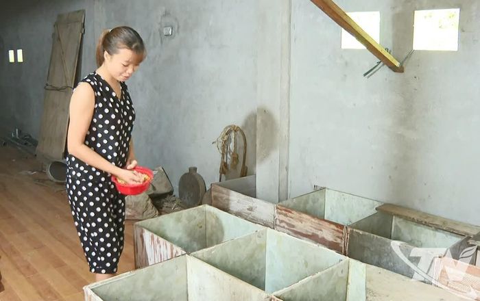 Mô hình nuôi dúi giống và dúi thương phẩm của bà Hoàng Thị Bảy (xã Tân Kỳ) mang lại nguồn thu nhập ổn định.