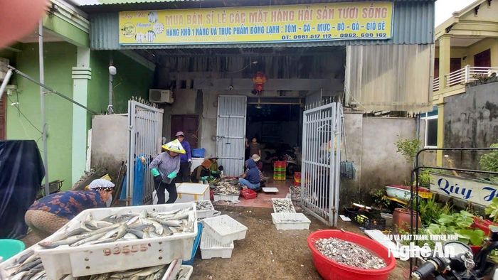 Nhiều lao động làm việc tại một cơ sở cấp đông trên địa bàn xã Quỳnh Phú. Ảnh: xuân Hoàng