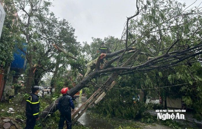 Ngay khi bão vừa tan, họ đã lập tức có mặt trên nhiều tuyến đường bị chia cắt, hỗ trợ cắt dọn cây đổ. Ảnh: CNCH