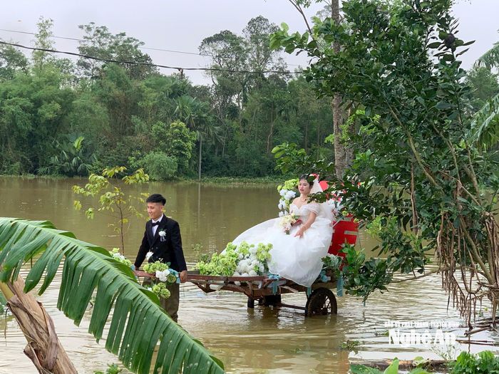 Ảnh: Hưng Hoàn