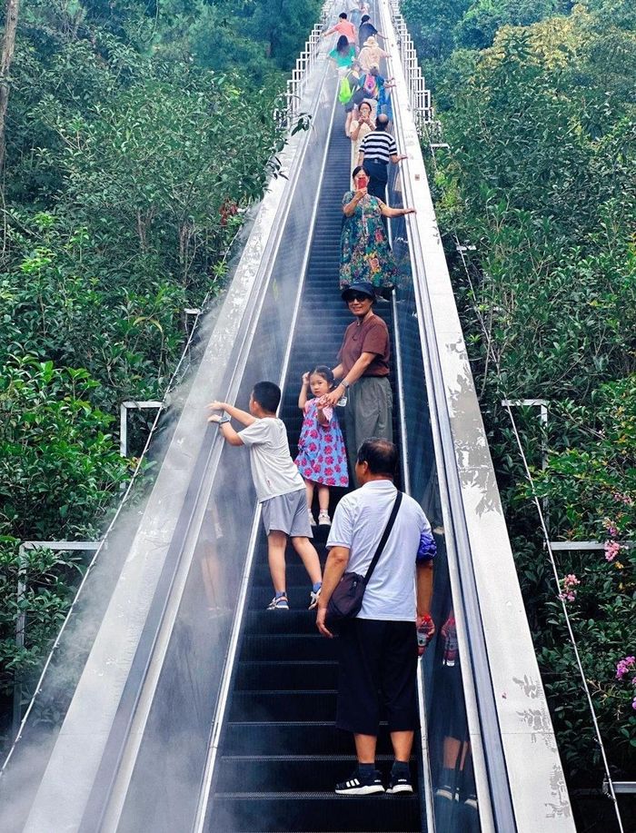  Ba thang cuốn dài 345 m ở Hồ Thiên Đảo (Hàng Châu) được xây dọc sườn núi, giúp du khách lên đỉnh chỉ trong 10 phút. Hệ thống còn có làm mát tích hợp. Ảnh: Lin Lala. 