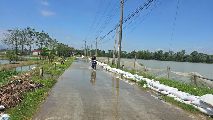  Sở NN&amp;MT Hà Nội cho biết, mưa lớn những ngày qua đã làm 70 hộ với 278 nhân khẩu phải sơ tán. Trong đó, xã Quảng Bị (200 người), Suối Hai (52 người), Ô Diên (26 người). Bên cạnh đó, mưa lớn đã làm 4.906 ha lúa, rau màu, cây trồng bị ảnh hưởng, trong đó hơn 2.915 ha lúa bị ngập úng. 