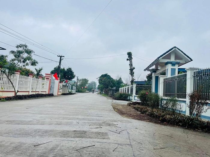 Theo các chuyên gia, bảng giá đất thấp hơn thị trường, làm méo lệch khi bồi thường giải phóng mặt bằng. Ảnh minh họa: CTV.