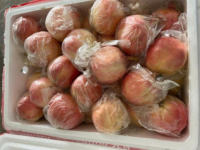  Quả lựu đựng trong thùng xốp bảo quản trong kho lạnh. Ảnh: ĐVCC 