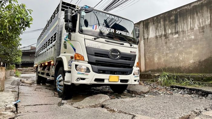Được biết đường Lê Ngô Cát là tuyến đường huyết mạch kết nối vào cụm công nghiệp gỗ Tân Hòa, nhiều nhà máy sản xuất tại Hố Nai 3 và Trường Trung cấp nghề Hòa Bình Xuân Lộc. Thực tế những năm qua đường này phải chịu lưu lượng xe tải lớn ra vào cụm công nghiệp, đặc biệt sau khi tuyến đường nhà máy nước Thiện Tân cấm tải, một số xe lớn đã chuyển sang Lê Ngô Cát, khiến đường thêm hư hỏng nghiêm trọng.